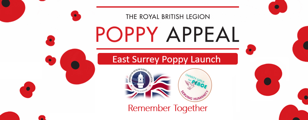 East Surrey Poppy Appeal Launch 2019